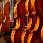 The Best Strings For a Warm Violin Sound